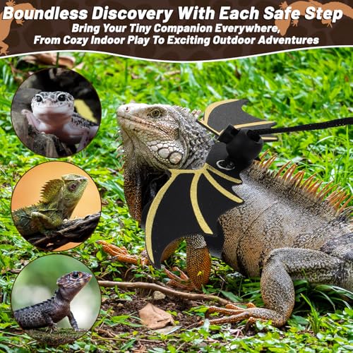 Image of Bearded Dragon Leash and Harness Set, Adjustable Bearded Dragon Harness with 3 Size(S, M, L), Soft Lizard Reptile Leash with Gold Black Wing for BeardedDragon Lizard Reptiles