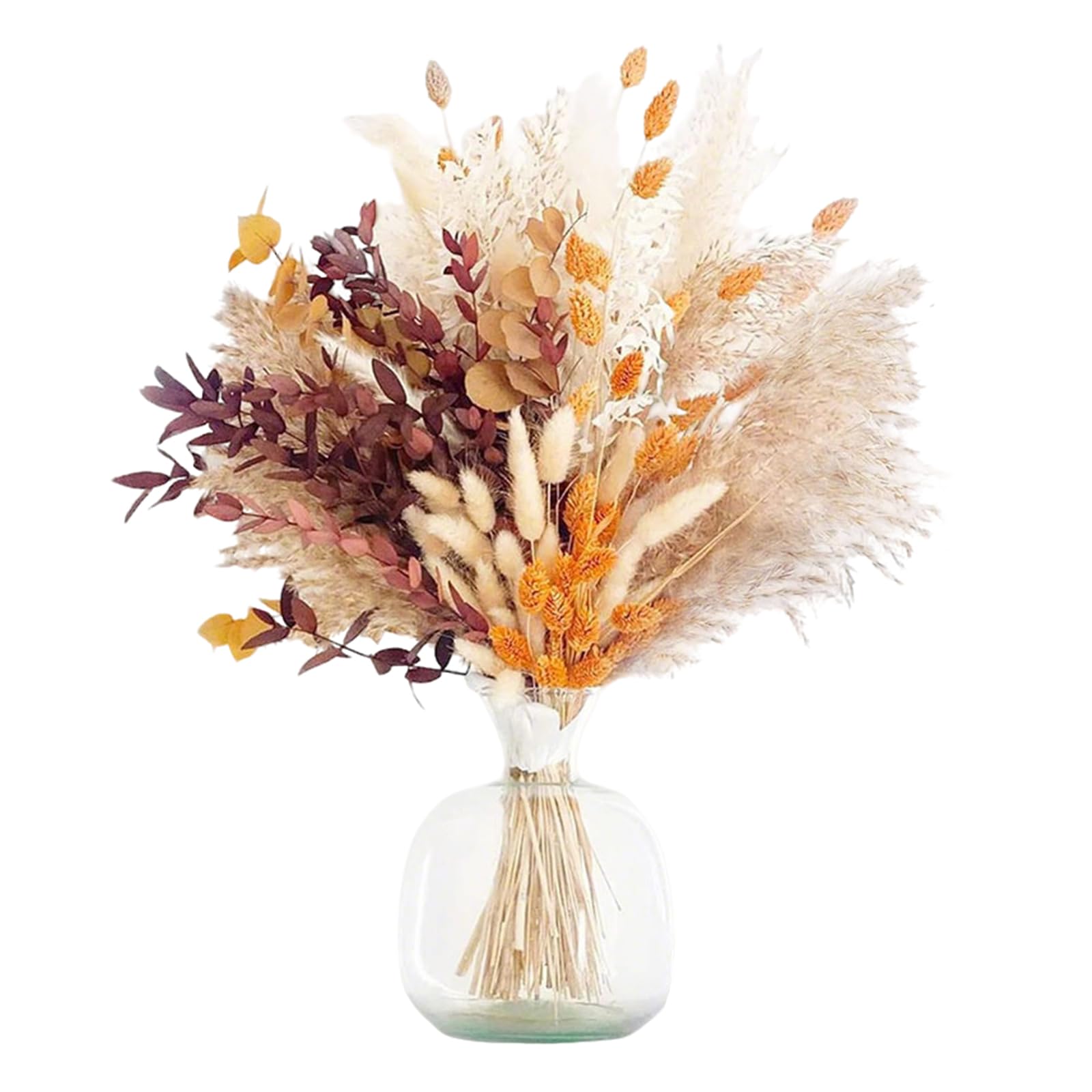 bouquet 64 pièces fleurs séchées pampas