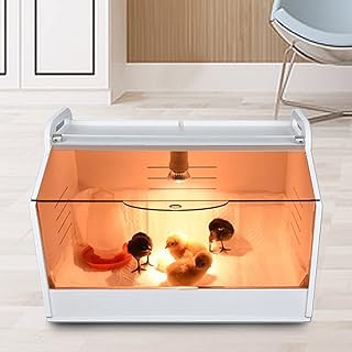 Élevage de poulets - Équipement complet - Avec thermomètre - Pour poulets et oiseaux