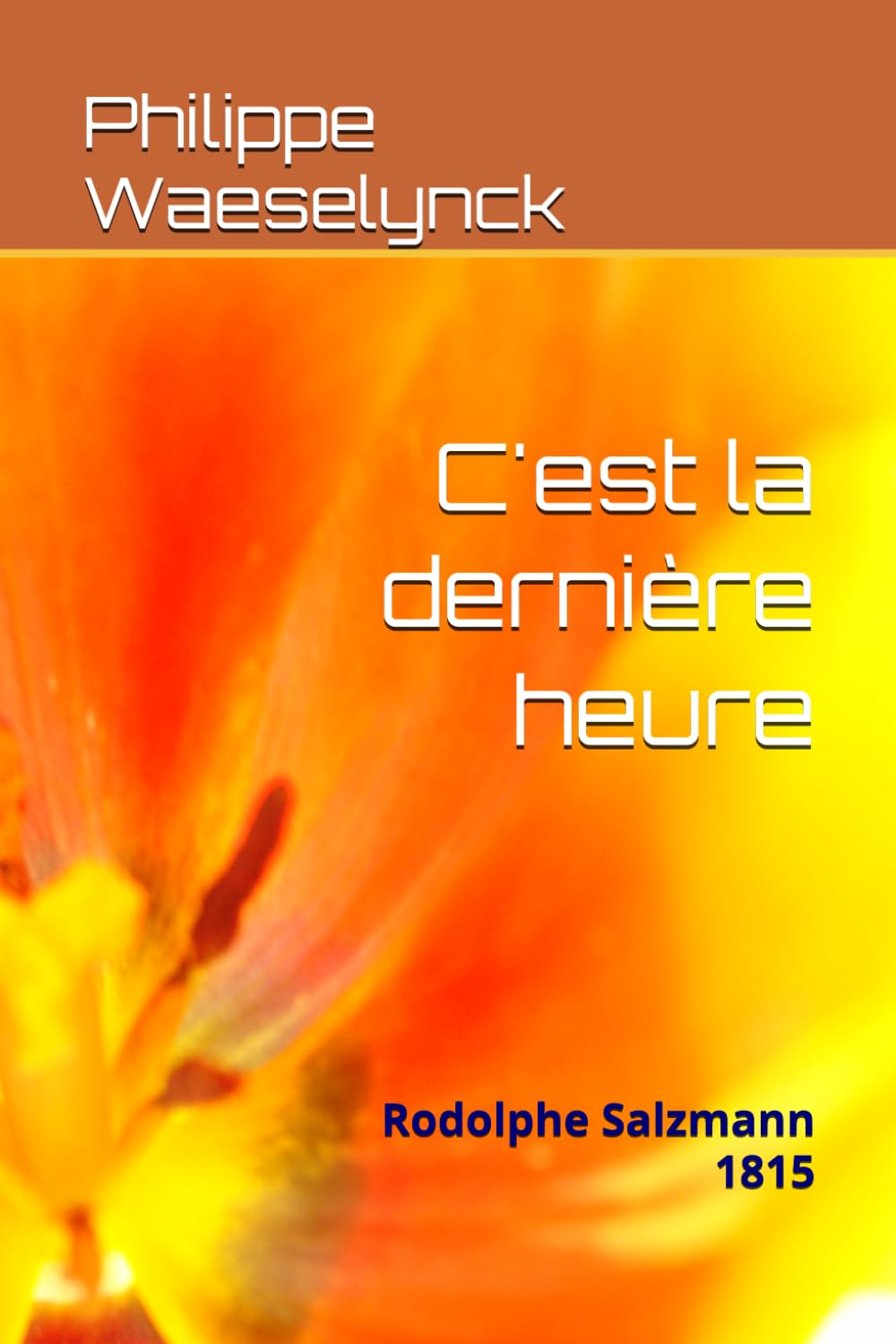 C'est la dernière heure: Rodolphe Salzmann 1815 (Livres de Rodolphe Salzmann)