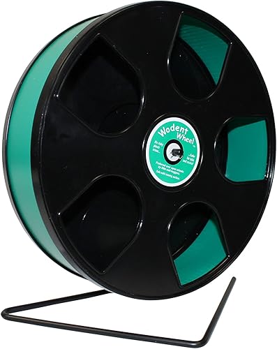 Wodent Wheel (rueda de 11 pulgadas) Rueda de ejercicio ligera hámster, planeador de azúcar, erizo, ratón, rata
