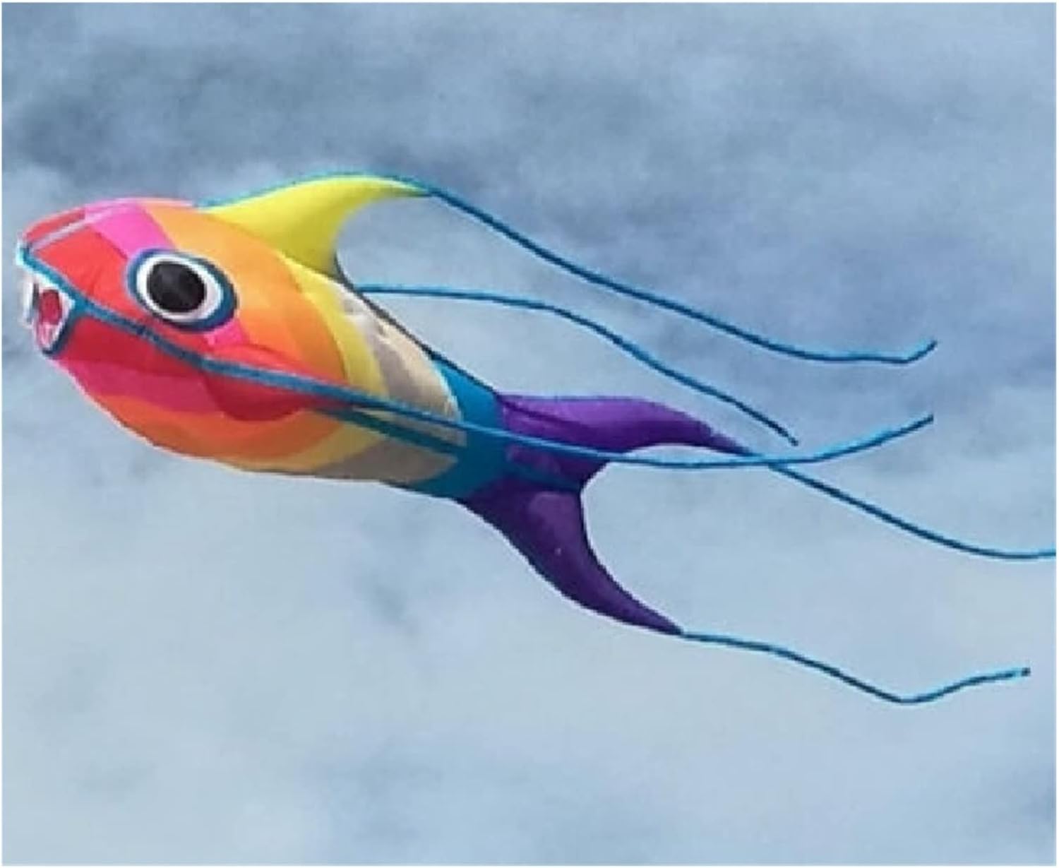 CHLOES Kites Giant Kite 3D Sting Ray Kite, Fish Kite