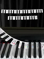 Etiquetas de notas de teclado de piano, guia de adesivos de teclado de piano de silicone para iniciantes, 61 teclas tamanho completo, sem necessidade de adesivos, reutilizáveis (coloridos)