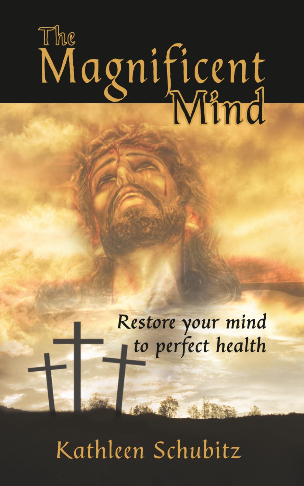 The Magnificent Mind: Restore your mind to perfect health (Optimize Brain Health with The Magnificent Mind)