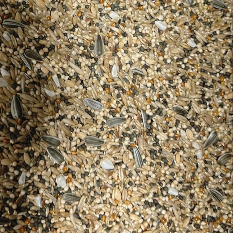 4kg Johnston & Jeff Aviary Mix Bird Food Blend of 11 ingredients