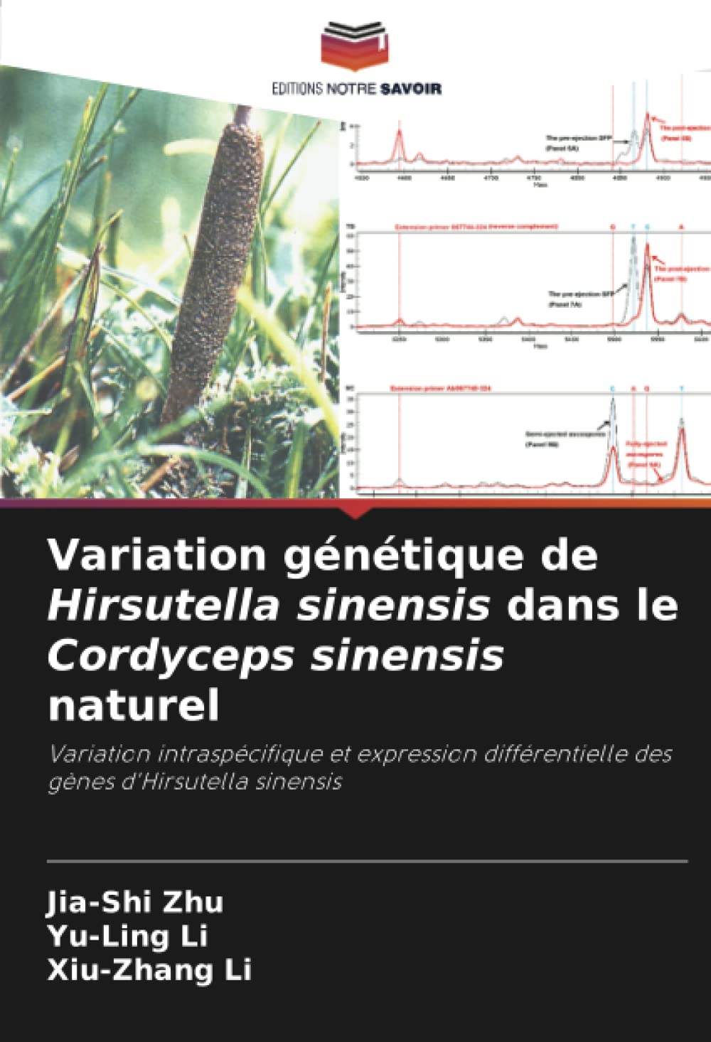 Variation génétique de Hirsutella sinensis dans le Cordyceps sinensis naturel