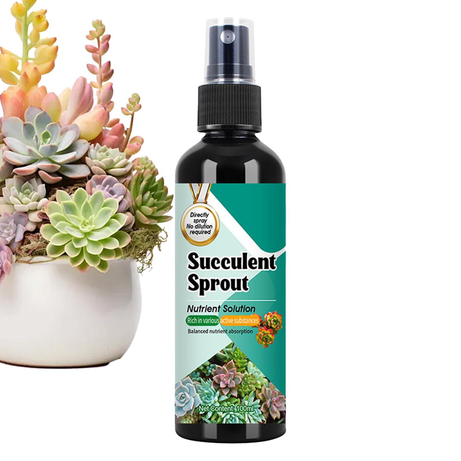 Kakteen Dünger | Luftpflanzen Dünger,100ml Sprungkraft Booster Langzeit-Spray Für Wachstum & Vermehrung Bei Topfpflanzen Innen & Außen
