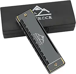 EastRock Blues Harmonica boca órgão 10 furos C chave com capa, gaita diatônica para jogadores profissionais, iniciantes, estudantes, adultos, amigos, presente preto