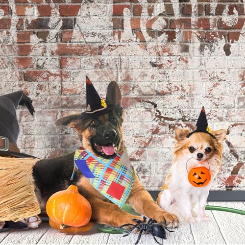 Set de disfraz de espantapájaros para perros Skicuff 3 piezas miniatura 6