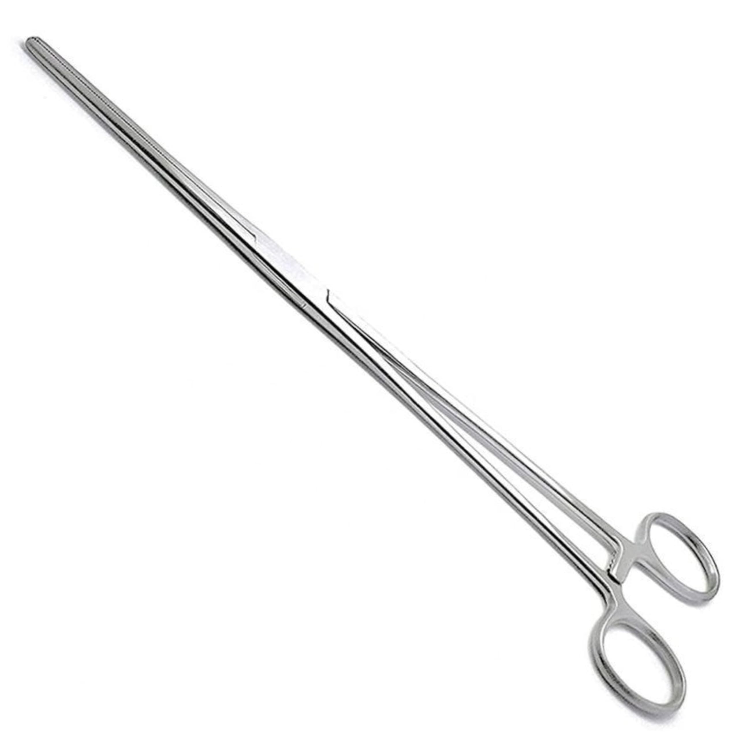 Fishing Forceps Dog Hemostat Forceps Scissors Ear Hairs Tools Locking Pliers Stud Ball earings Holder Dog Ear Hair Grooming Tweezers Forceps (10 Inches Straight)