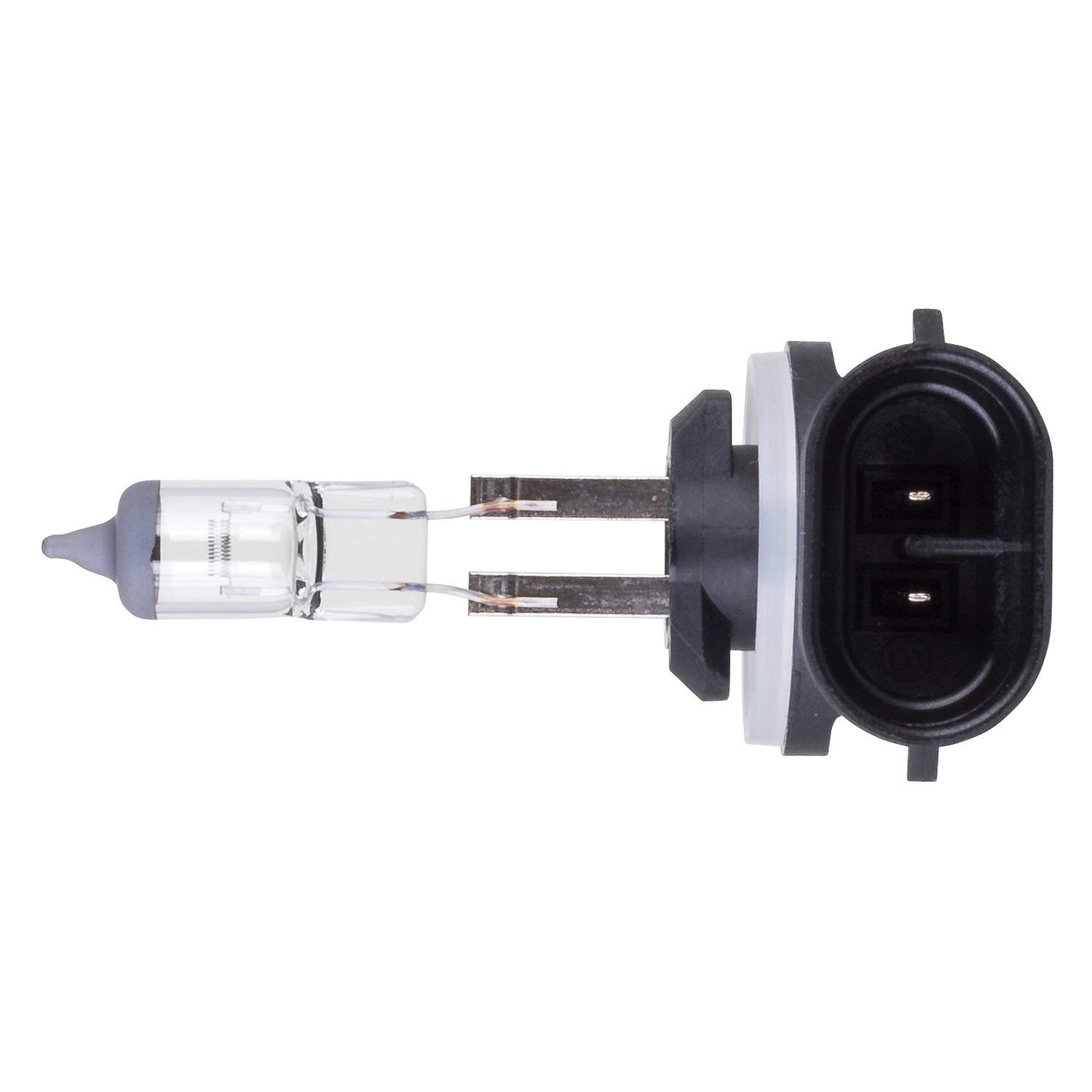 Philips 896 Standard Fog Bulb (Pack of 1)