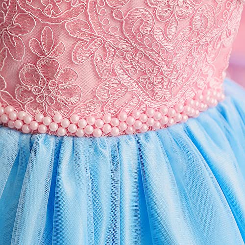 Image of HNXDYY Little Girls Princess Dress Girls Fancy Party Costume