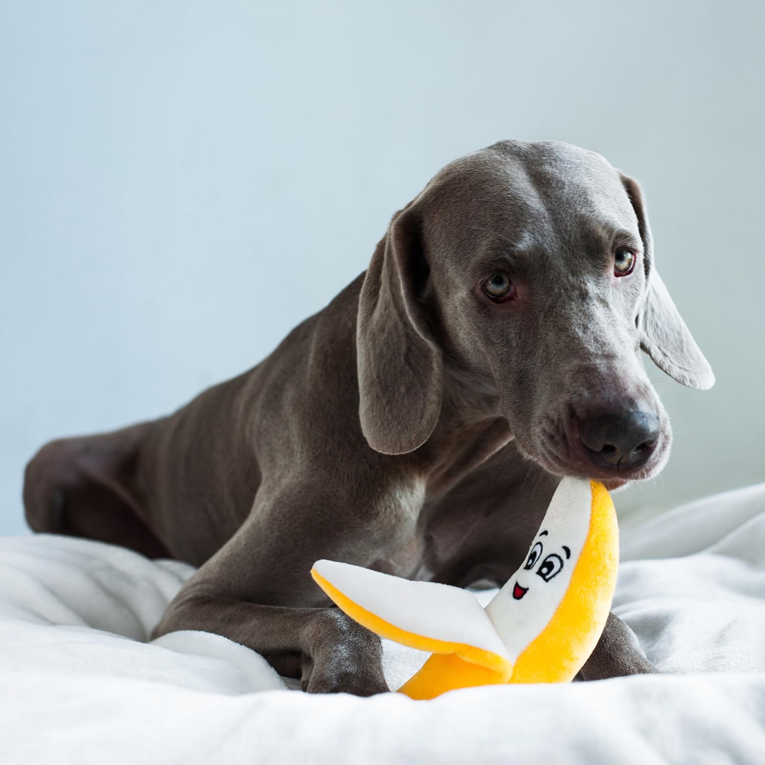 CHEWFFON Dog Toys, Dog Banana Toy, Puppy Plush Toy, Squeaky Dog Toys, Dog  Chew Toys, Dogs