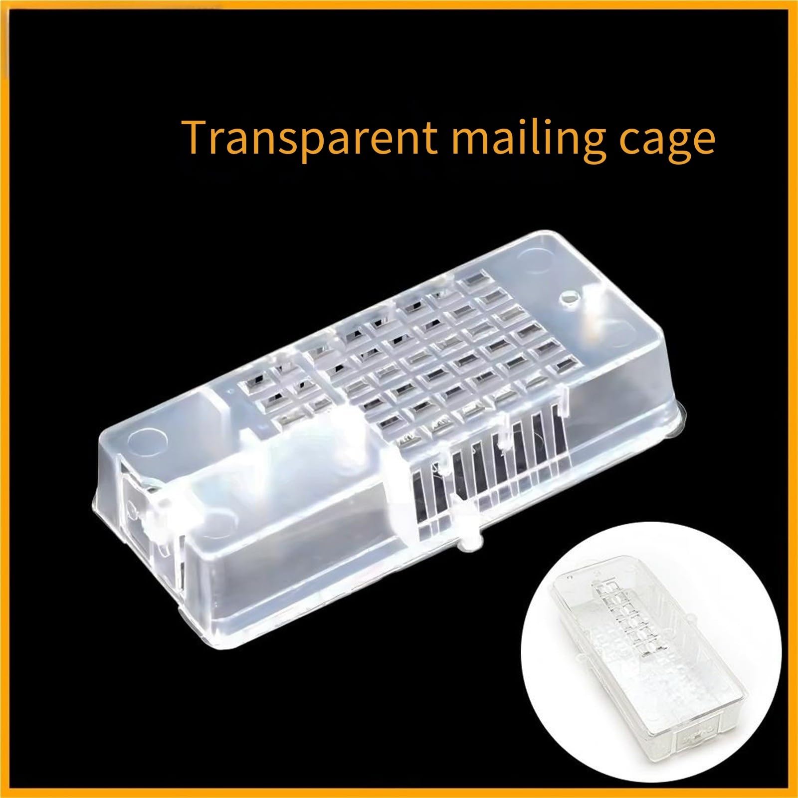 10/50/100 pz Trasparente Bee King Cage Apicoltore Strumento Apicoltura Queen Strumenti for api Attrezzature per apicoltura | 100pcs