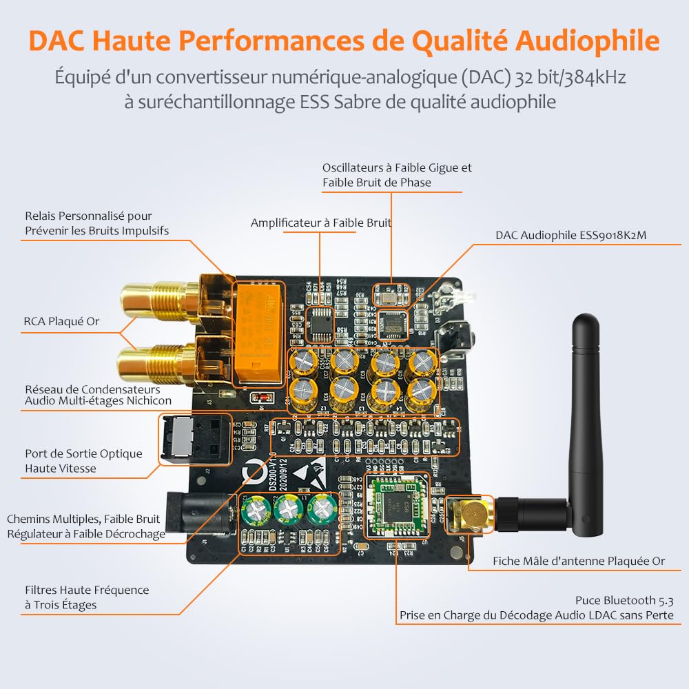 1Mii DS200Pro HiFi Récepteur Bluetooth 5.3 avec DAC Audiophile, LDAC Adaptateur Audio sans Fil pour Chaîne Stéréo, aptX HD/LL, Longue Portée, Diffusion de Musique vers Haut-parleurs, RCA Optique