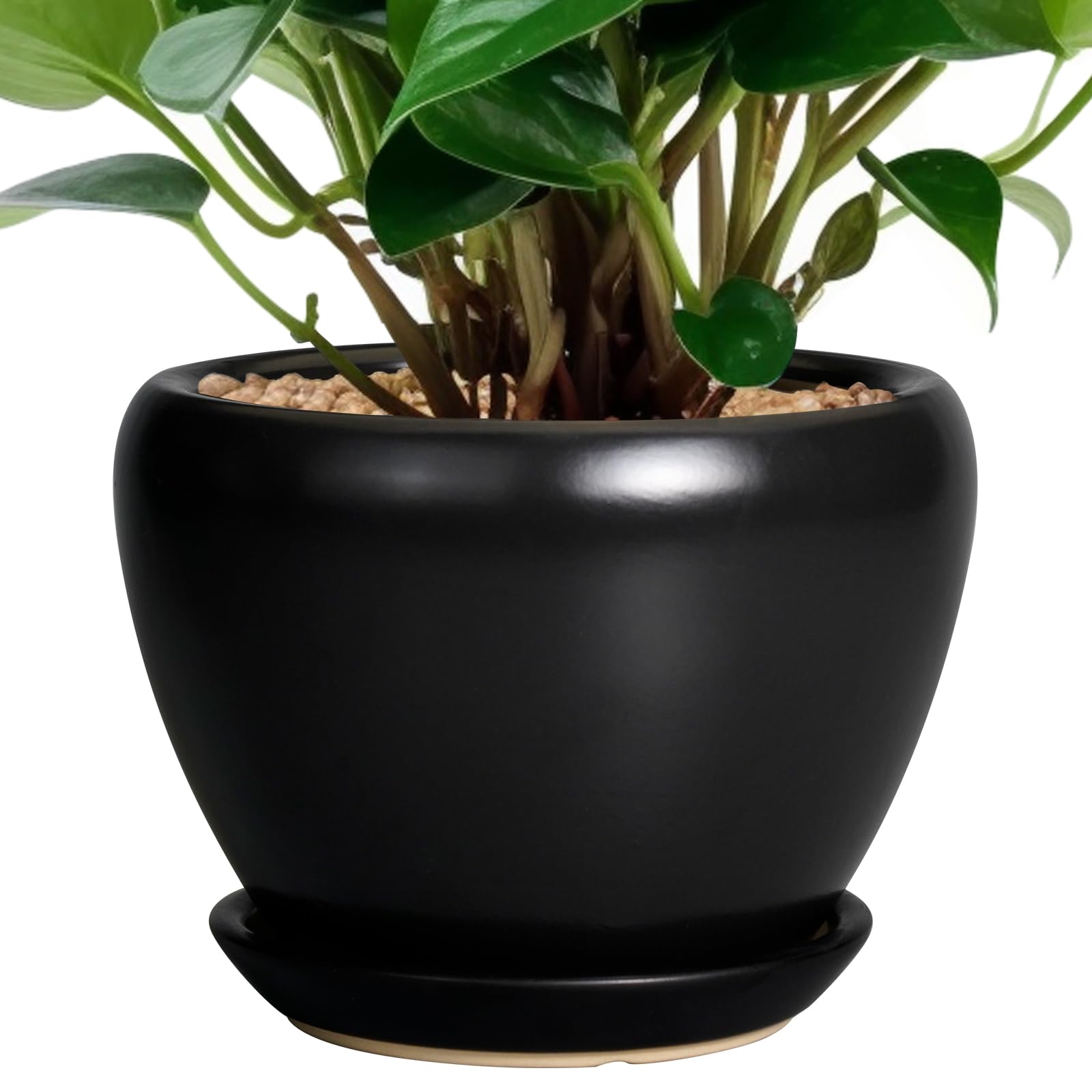 Ceramicfor Ceramic Planter Pot - 6 Inch Plant Pot with Drainage Hole and Saucer Round Planter for Indoor Plants Outdoor Succulent Pot Modern Flower