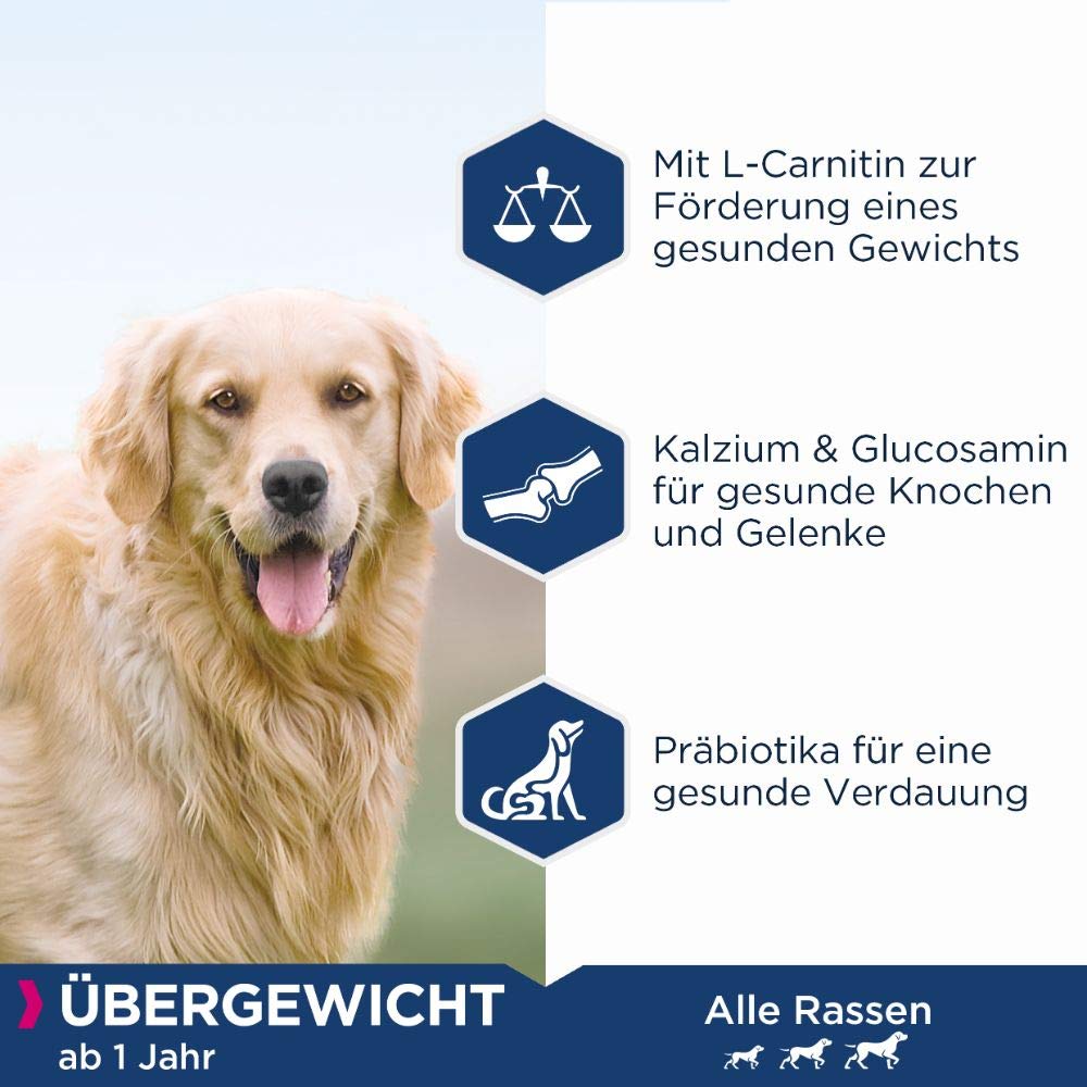 Eukanuba Daily Care Overweight / Sterilised Trockenfutter – Fettarmes Spezialfutter für übergewichtige oder kastrierte Hunde, 12 kg