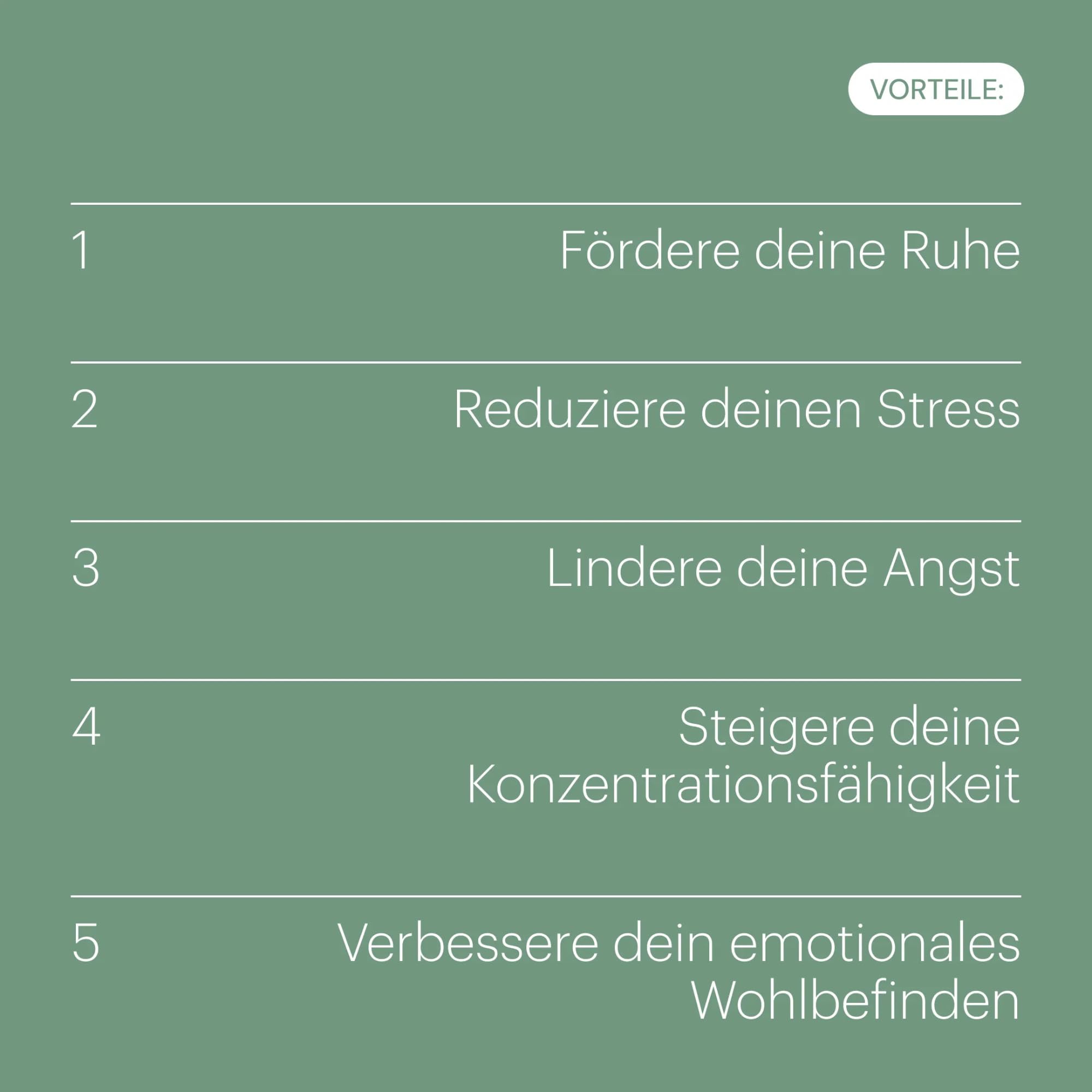 Ashwagandha Kapseln Hochdosiert mit Magnesium + Rhodiola + Reishi + Ginkgo Cortisol Senken + Fördert Ruhe + Gedächtnis + Konzentration Vegan Ohne Gluten und Laktose Ashwaganda be levels