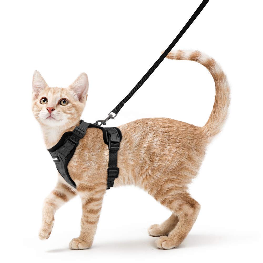 Rabbitgoo Cat Harness, Leash Set, Ultra-Small Dogs, Small Dogs, Hard to Fall Off, Soft Chestplate, Lightweight, Put On Without Lifting Legs, Adjustable Size, Night Reflection, Breathable Mesh, Coughing Prevention, Walking, S, Black