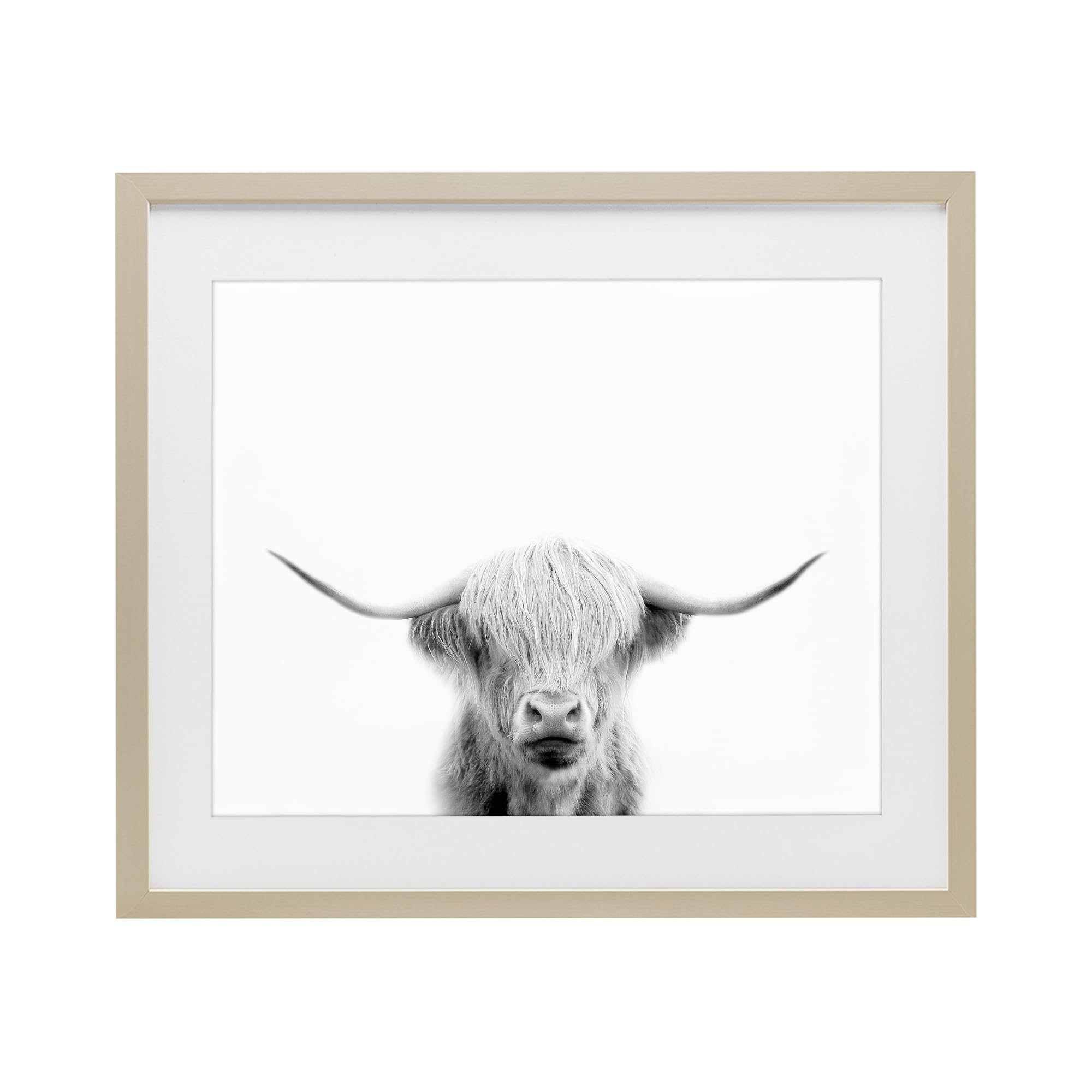 Stupell Industries Highland Scottish Cow Portrait 'Scottish Cow Portrait'| Framed Print Under Glass