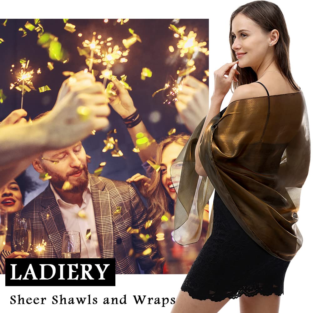 Ladiery Bufandas y envolturas de seda para vestidos de noche mujeres Sheer Soft Dama de honor Boda Shawl Party Organza Stole