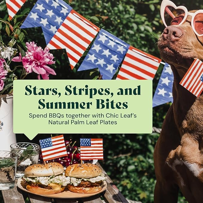 Chic Leaf Palm Leaf Plates Disposable Inch Square Pack Compostable Biodegradable & Eco Friendly Plates for 4th of July - Microwave Safe, Disposable for Party Events or Wedding Decor (50, 8" Pack) - Image 5