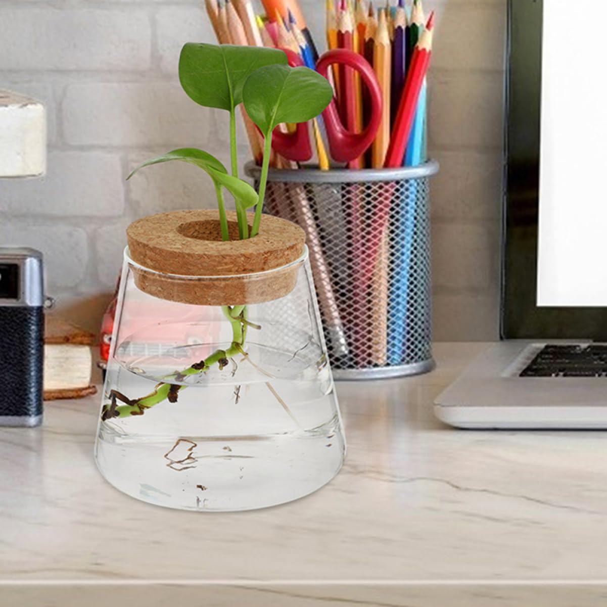 TOPBATHY 3pièces Vase Hydroponique Verre avec Couvercle Petite Jardinière pour Propagation De Plantes Terrarium De Bureau Transparent pour Fleurs