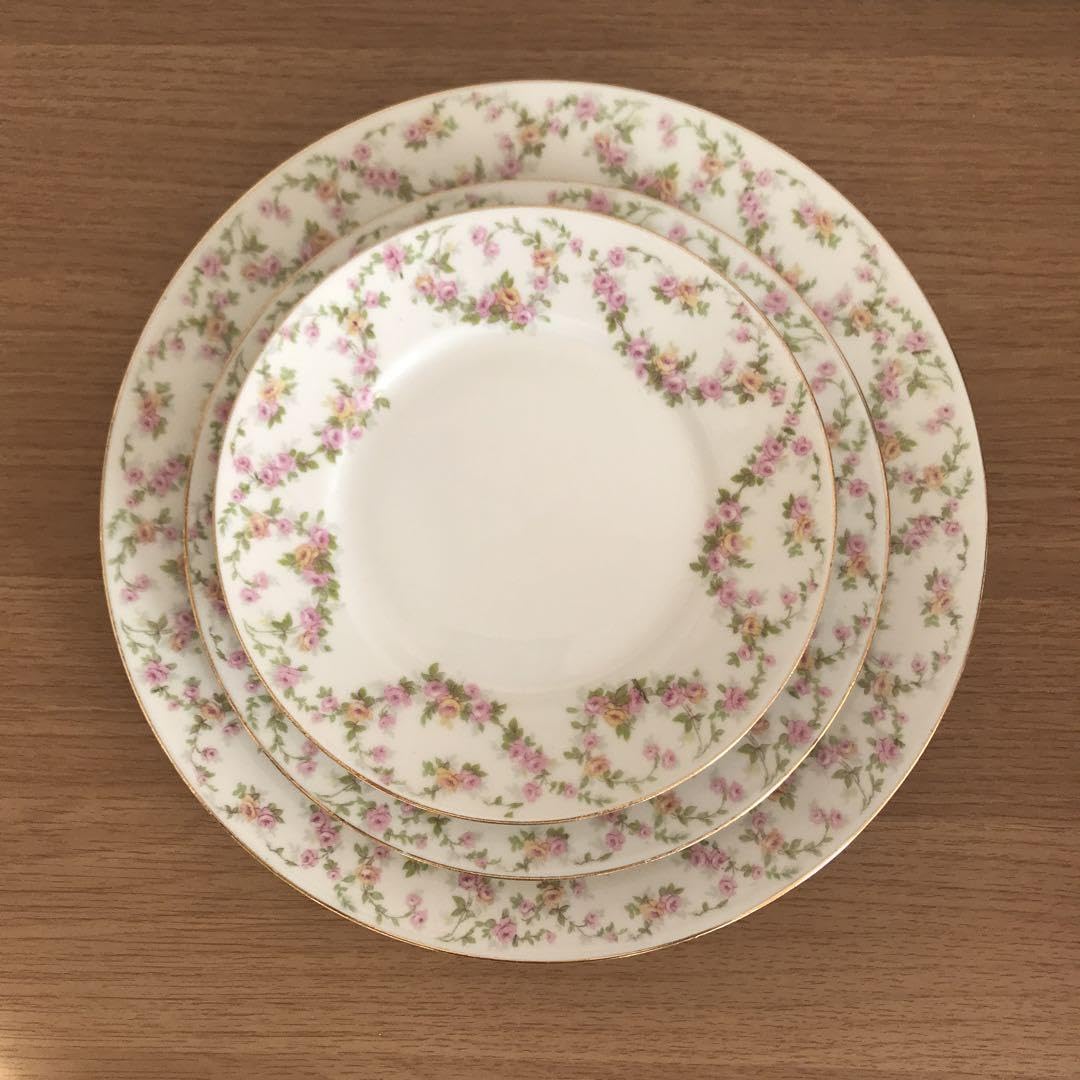 Amazon.co.jp: Limoges リモージュ フランス プレート 5枚 セット 