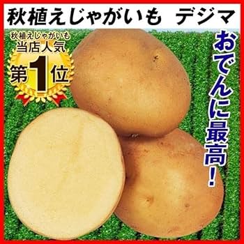 Amazon.co.jp: 種芋 秋植えじゃがいも デジマ 1kg / 国華園 25