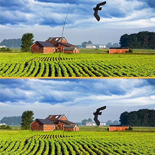 Cocoarm Bird Scarer, Hawk Scarer Flying Bird Scarers for Roofs Kite ...