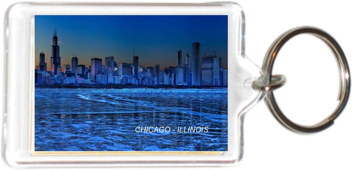 Illinois USA United States Acrylic KeyChains KeyRings Holders image 2