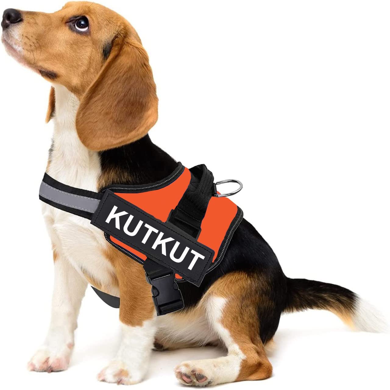KUTKUT Dog Harness, 2022 No-Pull Reflective Dog Vest, Breathable Adjustable Pet Harness with Handle for Outdoor Walking, No More Pulling, Tugging or Choking (Size: M, Chest: 50cm - 65cm) (B0BMPTV272) Amazon Price History, Amazon Price Tracker
