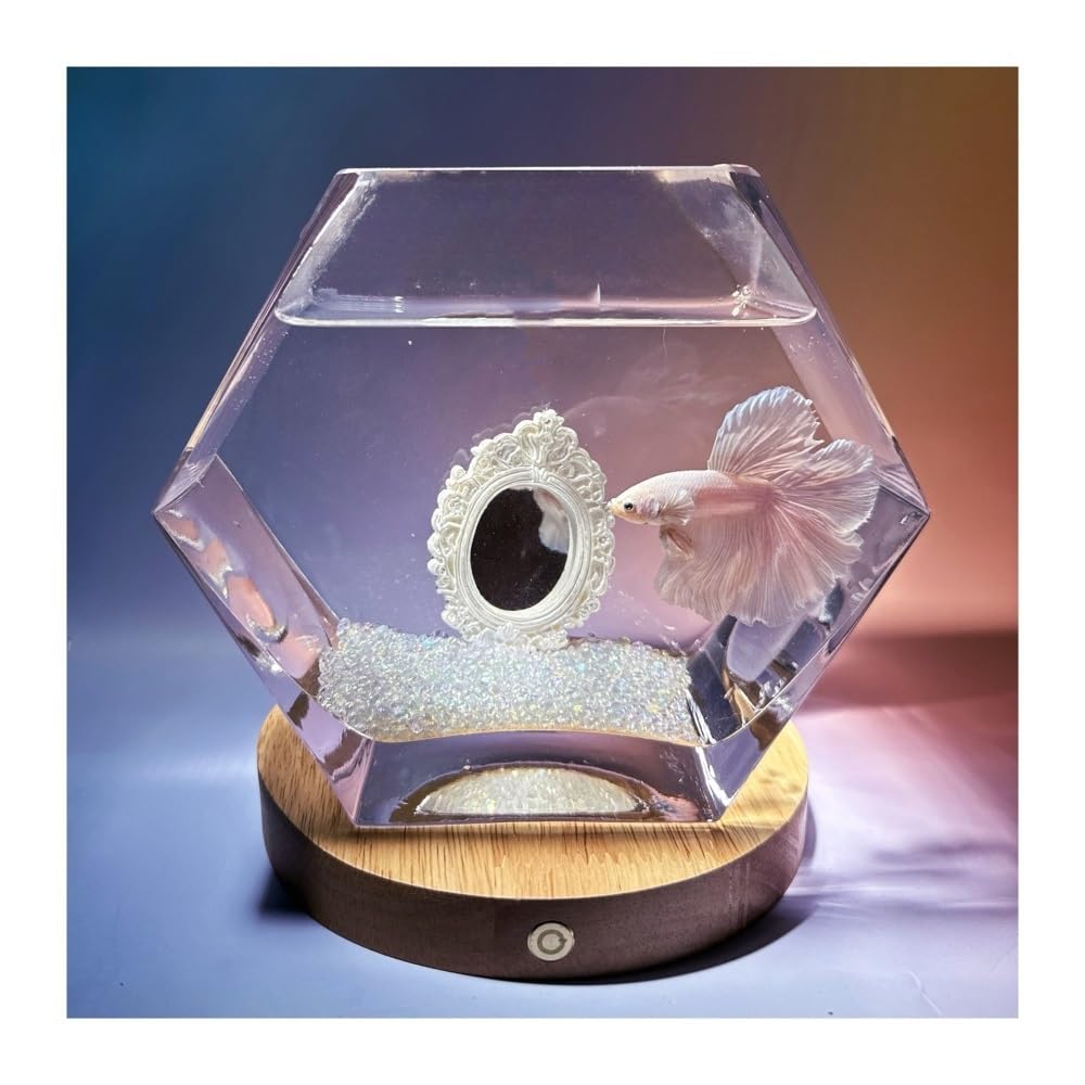 Aquarium Kampffisch-Aquarium mit Sockel, fünfeckiges, transparentes Glasbecken, kleines Aquarium, dekoratives Element for Wohnzimmer oder Schreibtisch