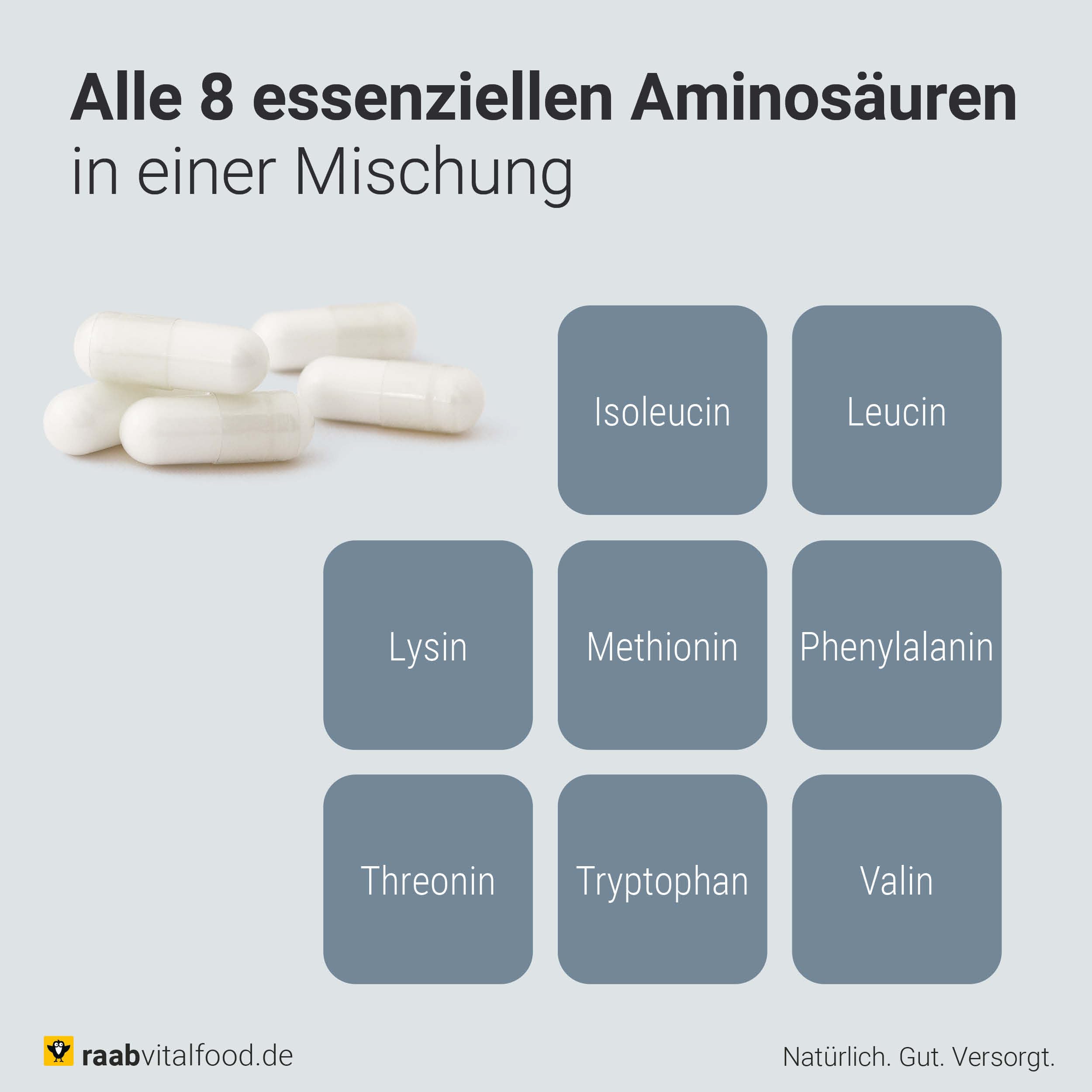 Essenzielle Aminosäuren Kapseln 80 à 600 mg 1 x 48 g