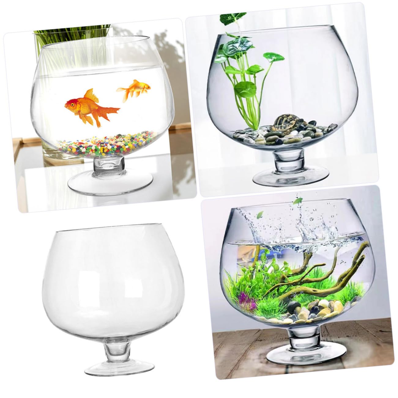 TOPBATHY Aquarium Décoratif en Verre pour Poissons Betta Mini Aquarium Design Moderne Et Élégant Idéal pour La Décoration De La Maison Ou du Bureau