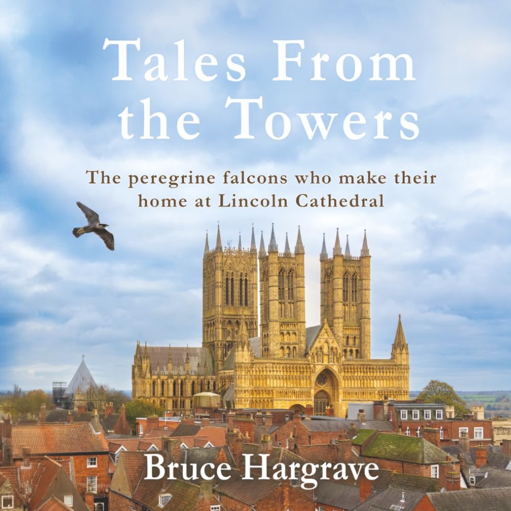 Tales From the Towers: The peregrine falcons who make their home at Lincoln Cathedral