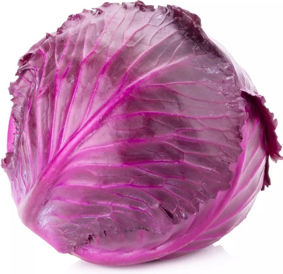 Willvine Chinese Purple Cabbage-VS-4W-image-28