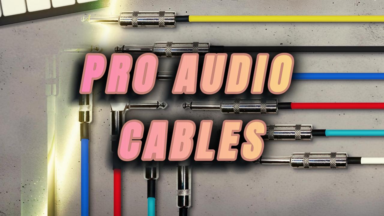 Amazon.com: AxcessAbles XLR Female to 1/4
