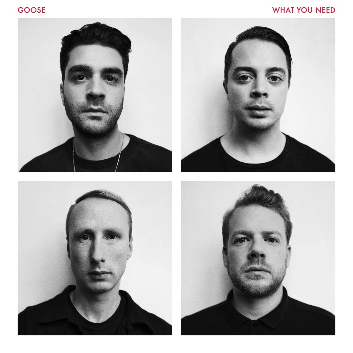 What You Need [Vinyl LP] [VINYL]