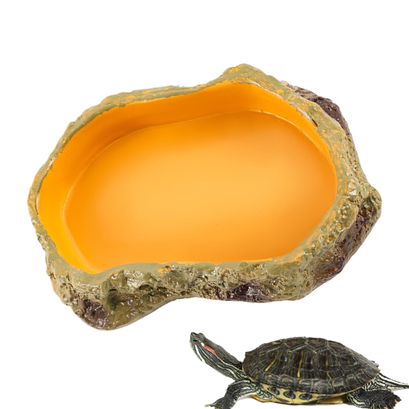Rettili Mangiatoia Sicura Multifunzione Per Piccoli Animali | Vasca Reptile Ciotole, Vasca E Vassoio Per Drago Barbuto, , Tartaruga, Rana E Vasca Tartarughe