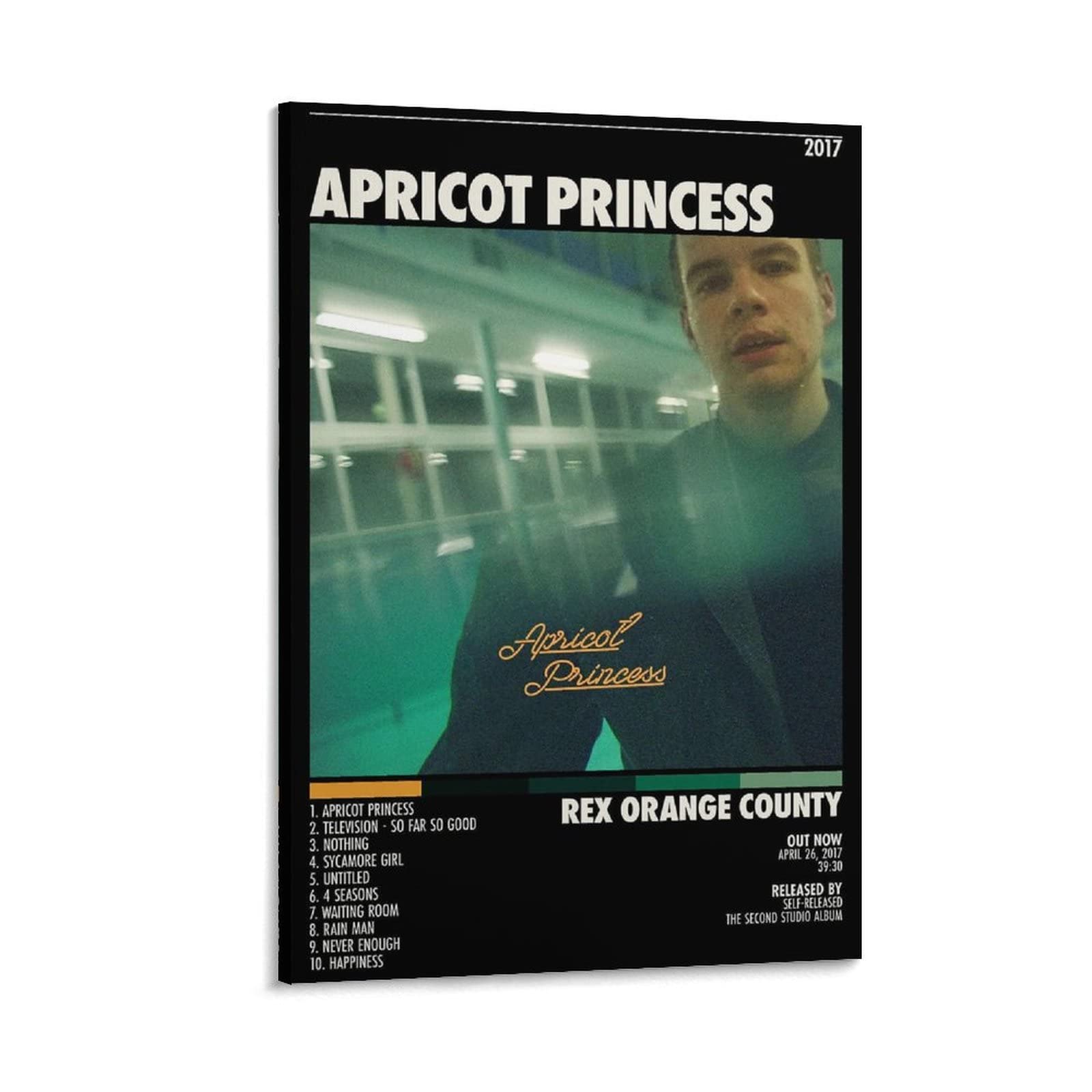 Poster Rex Orange County idée cadeau originale pour fan de pop indie - 6