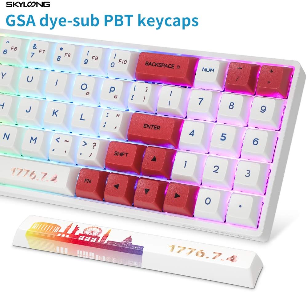 Game Hardware Red Switch SKYLOONG Mechanical Gaming Keyboard 71 Keys 70