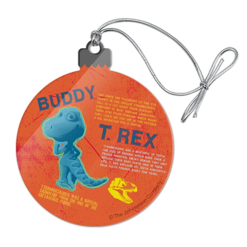 Amazon Com Graphics More Dinosaur Train Buddy T Rex Facts
