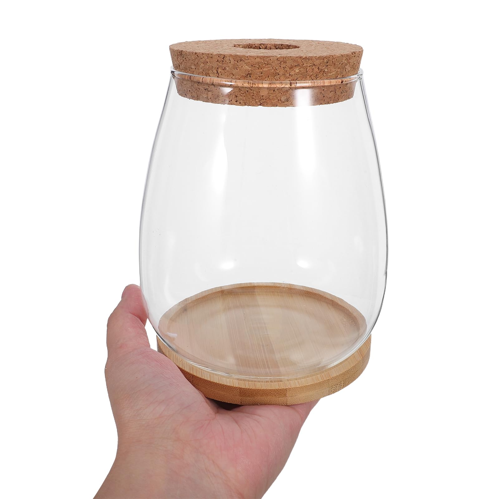 Toyvian Lot de 2 Sets de Vases de Propagation en Verre Hydroponique Grand Format avec Bouchon en Liège et Support en Bambou, Stations de Culture Solide pour Plantes D’intérieur Bureau