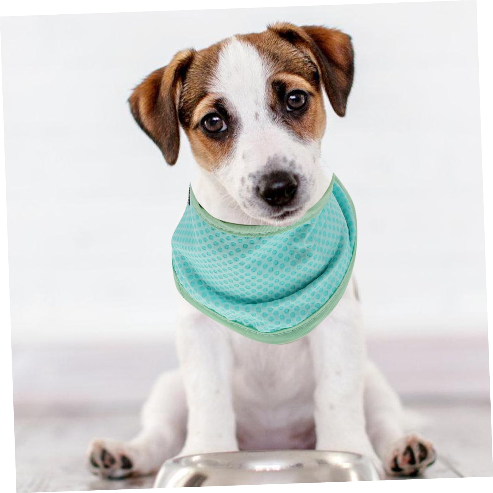 Mipcase 5stücke Pet Cooling Towel Für Hunde Atmungsaktives Kühlhalstuch Für Sommer Für Outdoor-aktivitäten Kühlende Dreiecks-Halsband Für Hunde Mit Kaltem Gefühl Mit Punkten
