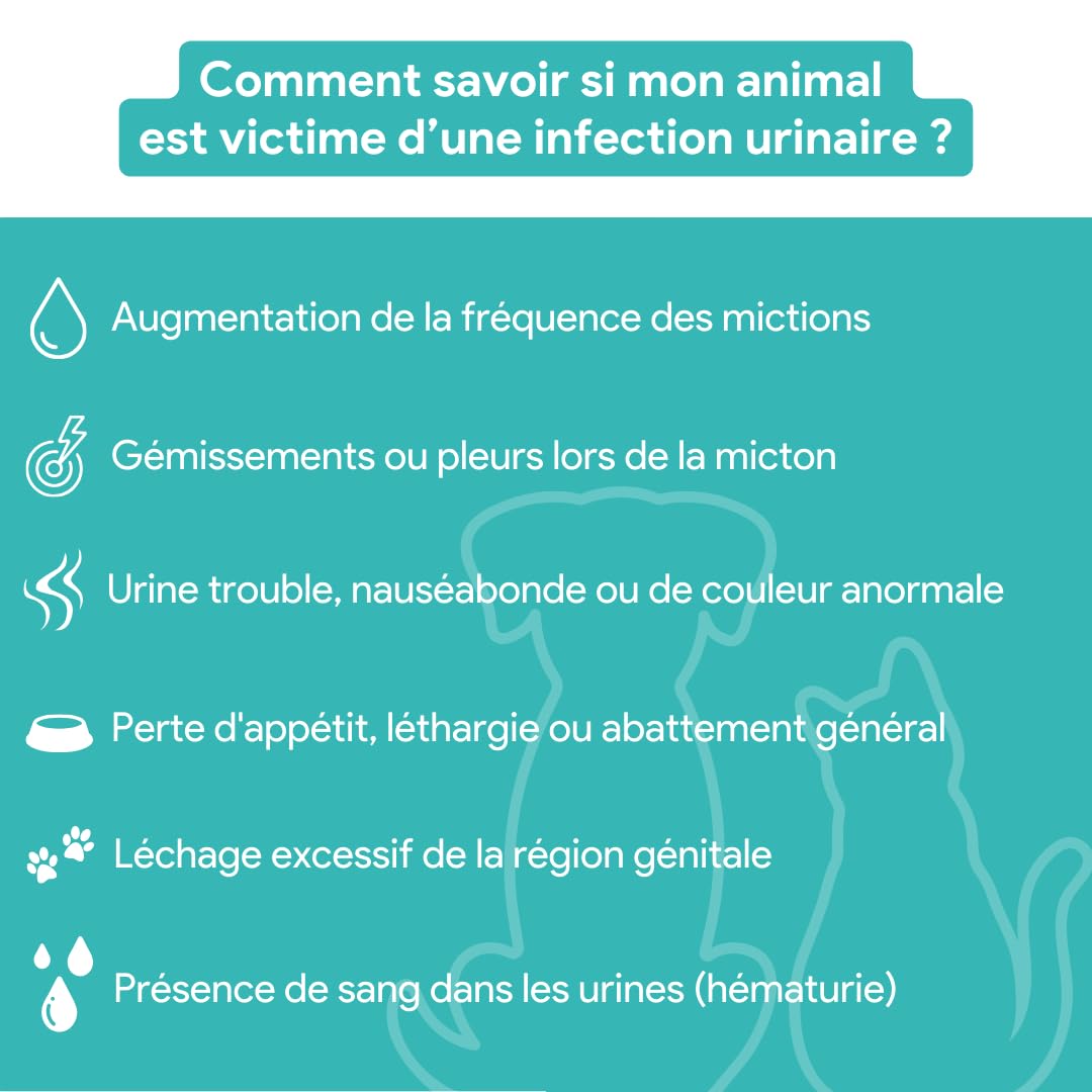 Vesicaline • Soulagement & Prévention des Infections Urinaires chez Chats & Chiens | Formule Vétérinaire pour Vessie Saine et Voies Urinaires Sereines | DL-méthionine | 100 Comprimés