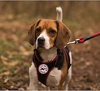 Vista 5 de 4 parches reflectantes para perros de servicio, chaleco táctico de gancho con lazo, juego de parches extraíbles con velcro bordado, perro