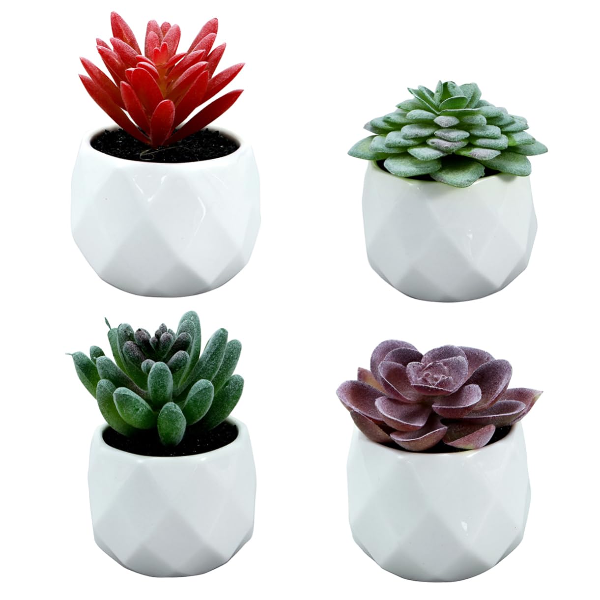 Composizione di Piante Grasse Artificiali in Vaso 4 Pezzi Ceramico Pvc