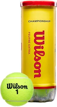 Wilson Champ Extra Duty Tennis Balls