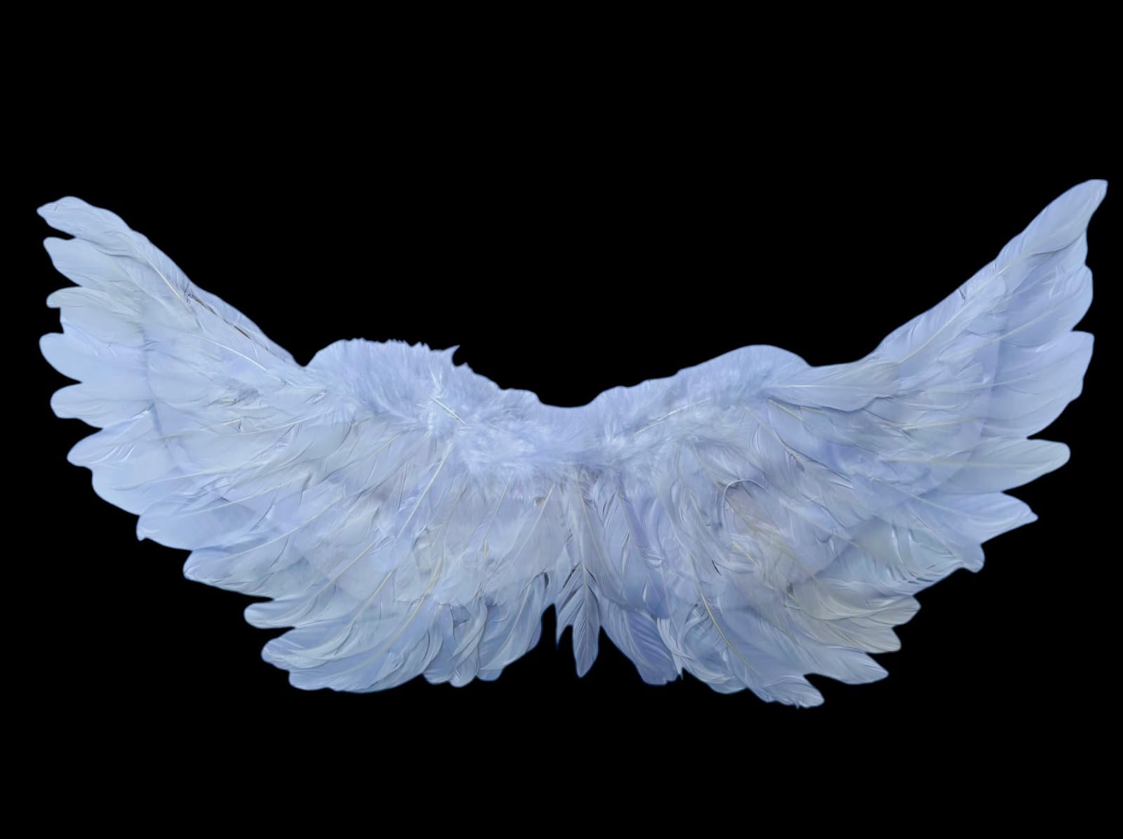 PartyToko Halloween White Black Feather Wings Solid Color Angel Demon Wings Cosplay Costume Feather and Elastic Straps for Adults, Kids, Halloween Cosplay, Party - Pack of 1pc (Black) (B0DGV4TRBK) Amazon Price History, Amazon Price Tracker